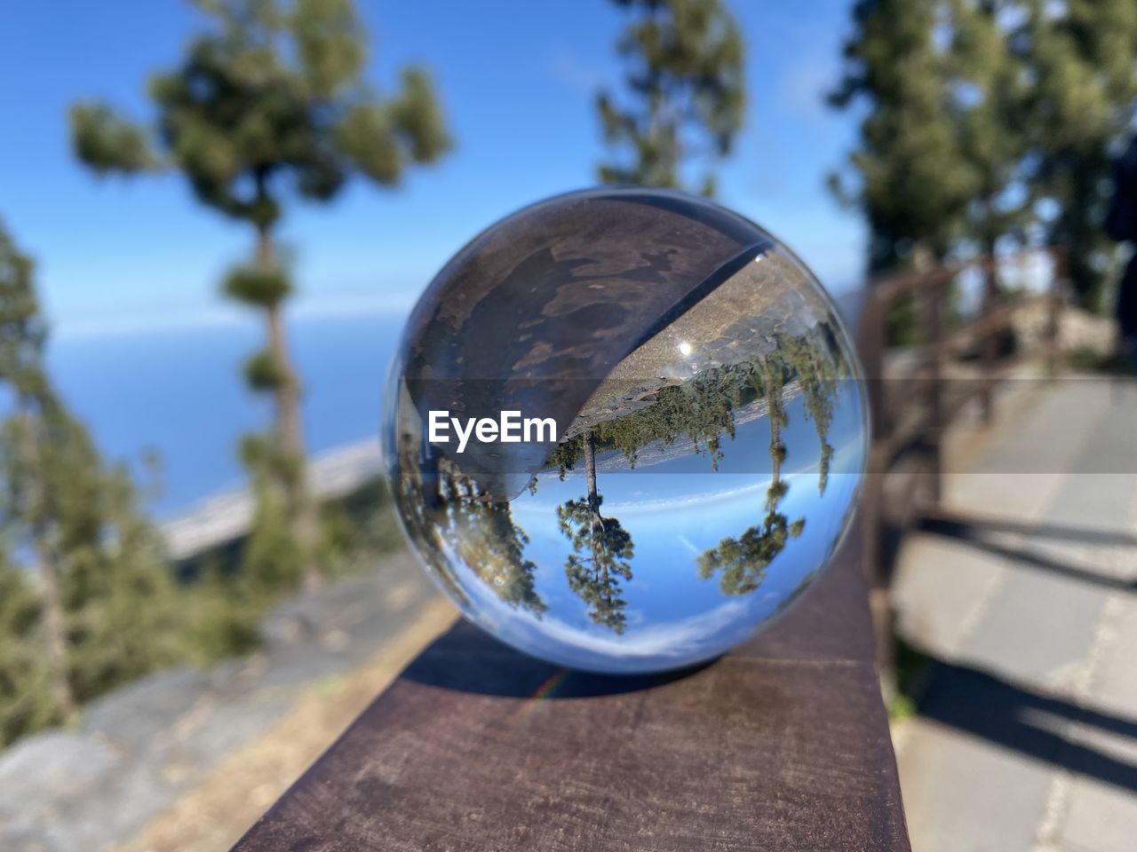 blue, nature, sphere, reflection, tree, focus on foreground, sky, plant, day, shape, no people, outdoors, sunlight, close-up, glass, geometric shape, water, globe - man made object, transparent, circle, environment, shadow, city, clear sky, travel destinations, architecture, sunny, travel, land, crystal ball, planet earth, single object
