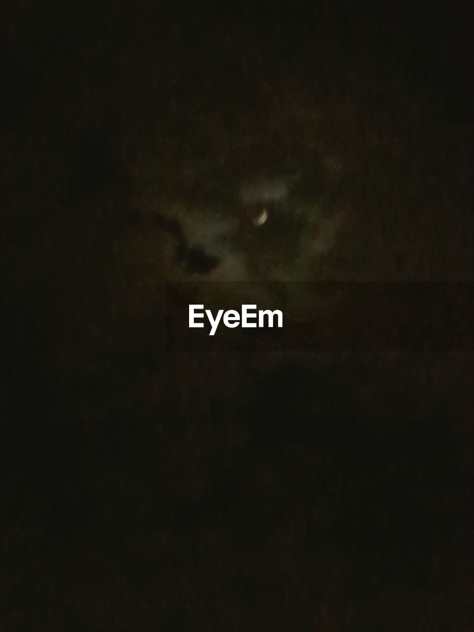 LOW ANGLE VIEW OF TREES AGAINST THE SKY