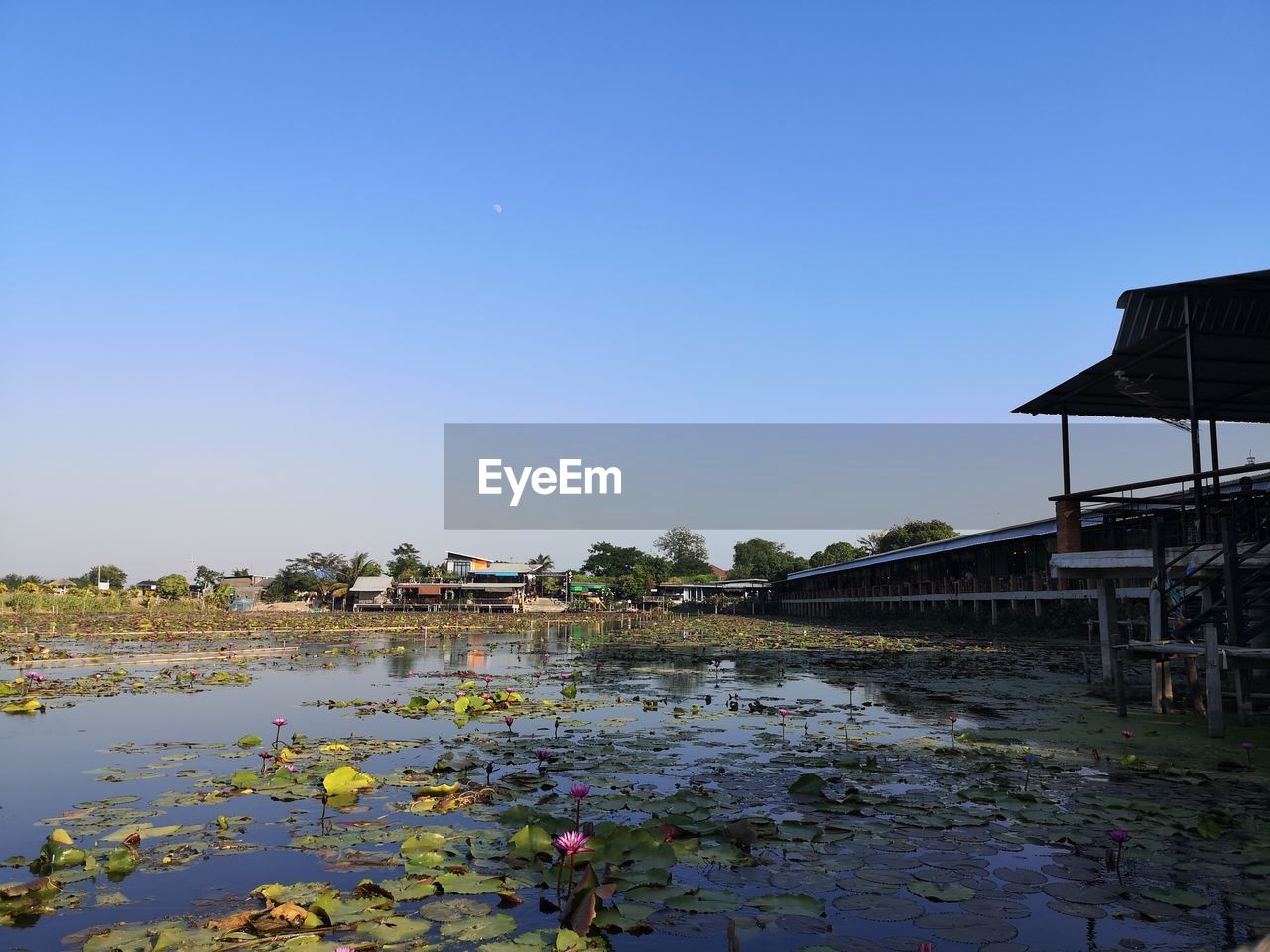 SCENIC VIEW OF RIVER BY HOUSE AGAINST CLEAR BLUE SKY