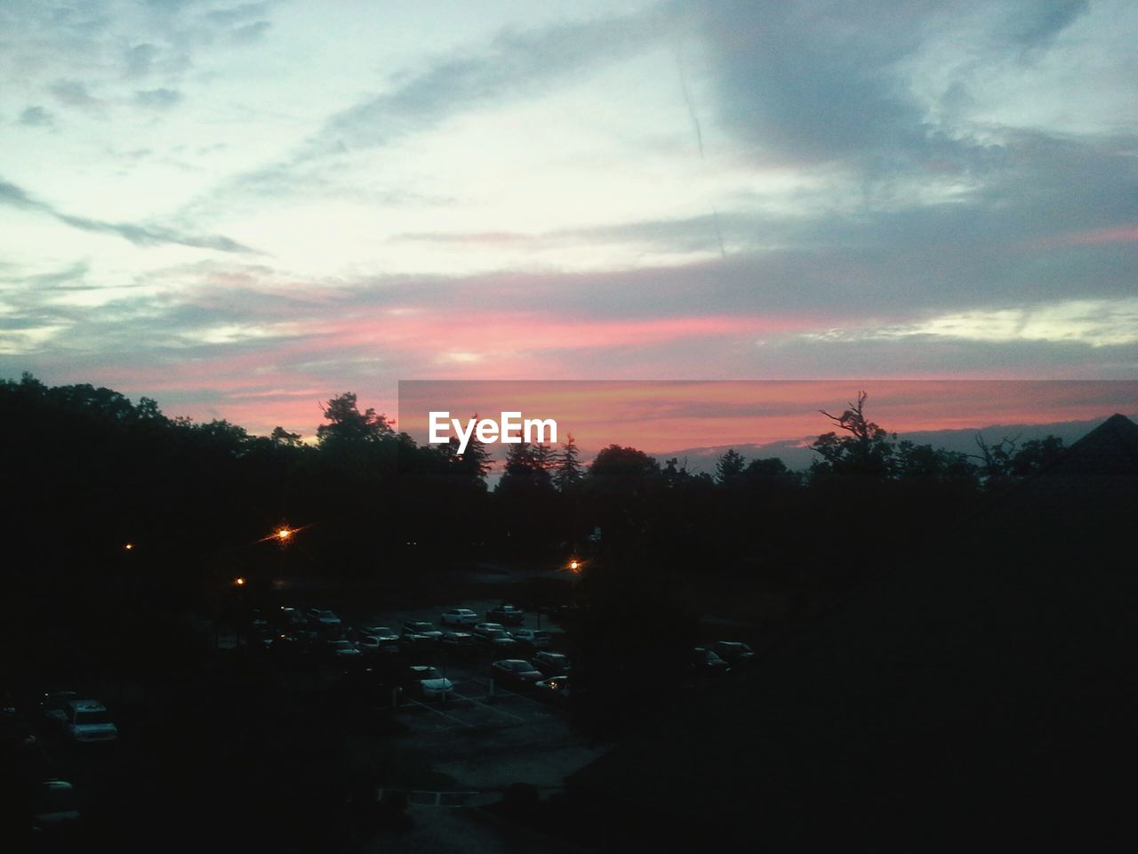 SILHOUETTE OF TREES AT SUNSET