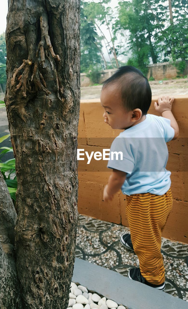 Full length of cute boy standing near tree in park