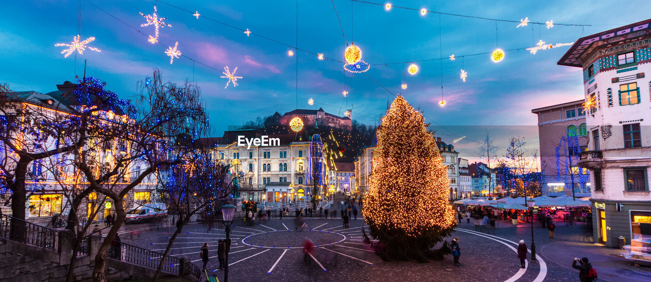 ILLUMINATED CHRISTMAS TREE AT NIGHT