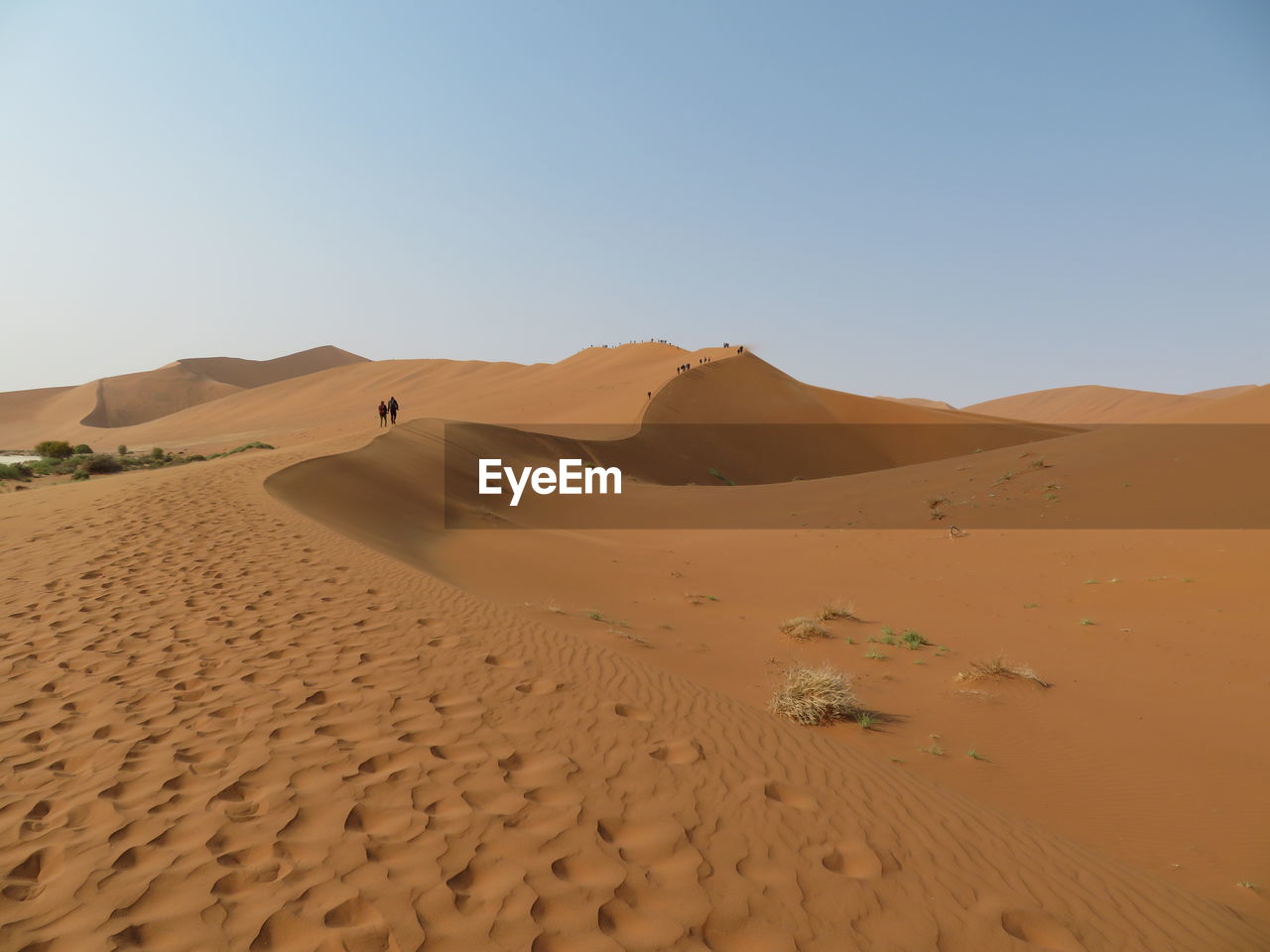 Scenic view of desert against clear sky