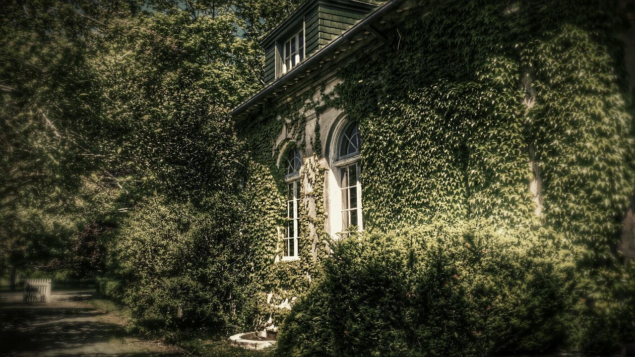 View of building covered in ivy