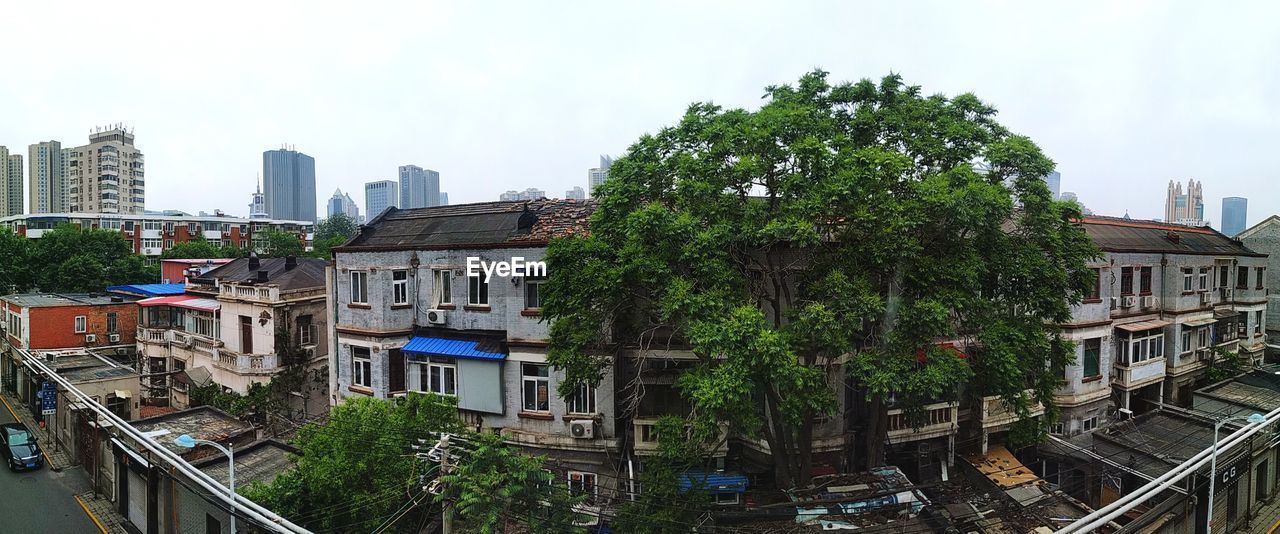 Trees and residential buildings against sky