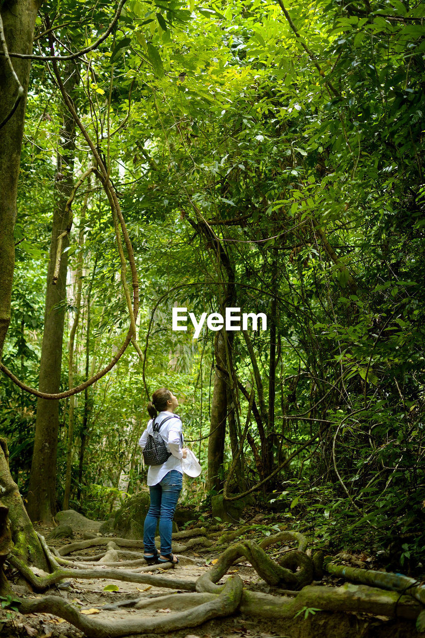 Woman standing against trees in forest