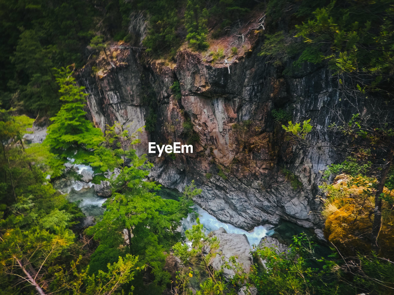 SCENIC VIEW OF ROCK FORMATION AMIDST TREES