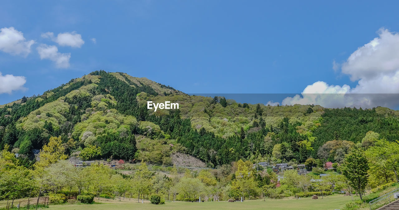 Scenic view of landscape against cloudy sky