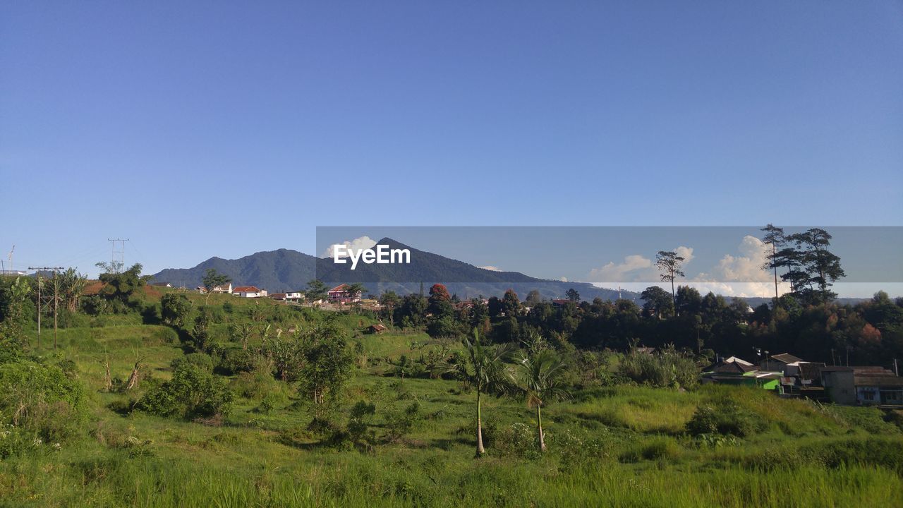 Scenic view of green landscape against blue sky