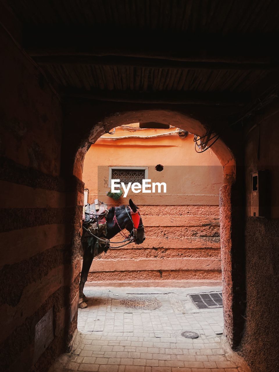 architecture, built structure, one person, full length, red, light, wall, adult, arch, entrance, darkness, men, door, indoors, building, staircase, temple, wood, history, travel, lifestyles, day, nature