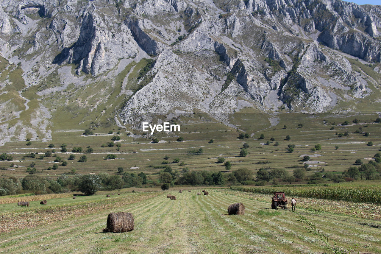 HAY BALES ON FIELD BY MOUNTAINS