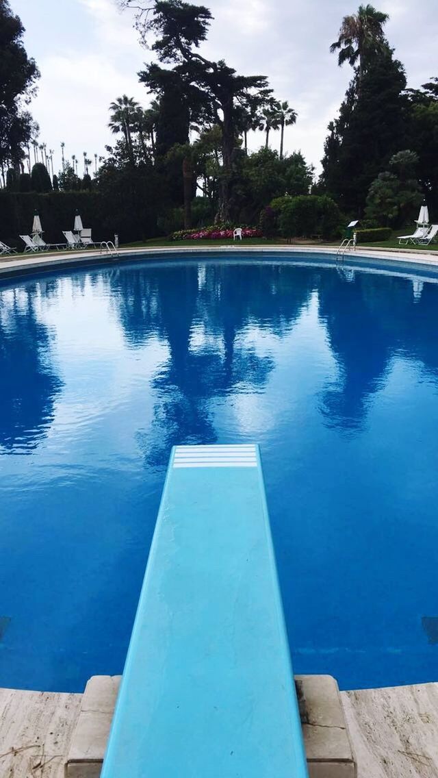 REFLECTION OF TREES IN SWIMMING POOL