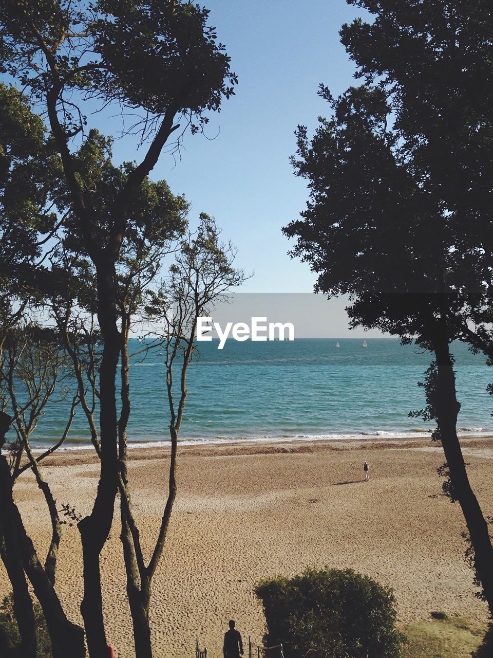 SCENIC VIEW OF SEA WITH TREES IN BACKGROUND