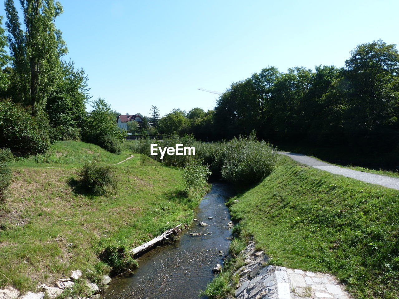 PLANTS AND TREES AGAINST CLEAR SKY
