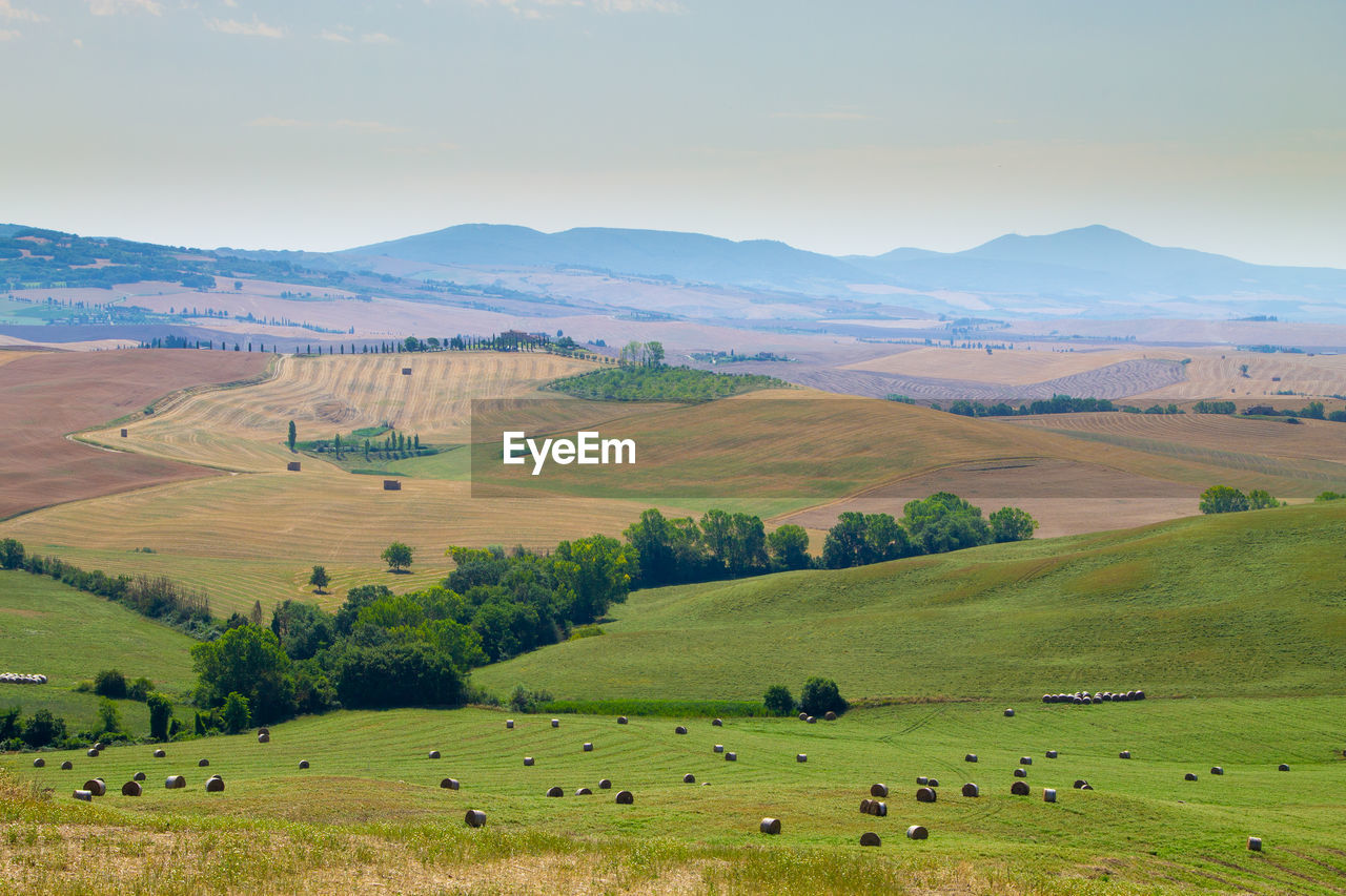 Scenic view of agricultural landscape against sky