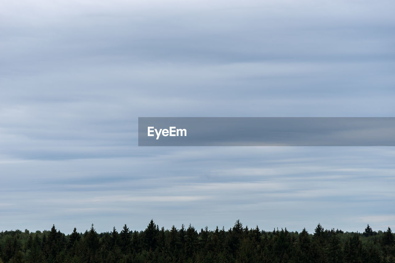 PANORAMIC VIEW OF FIELD AGAINST SKY