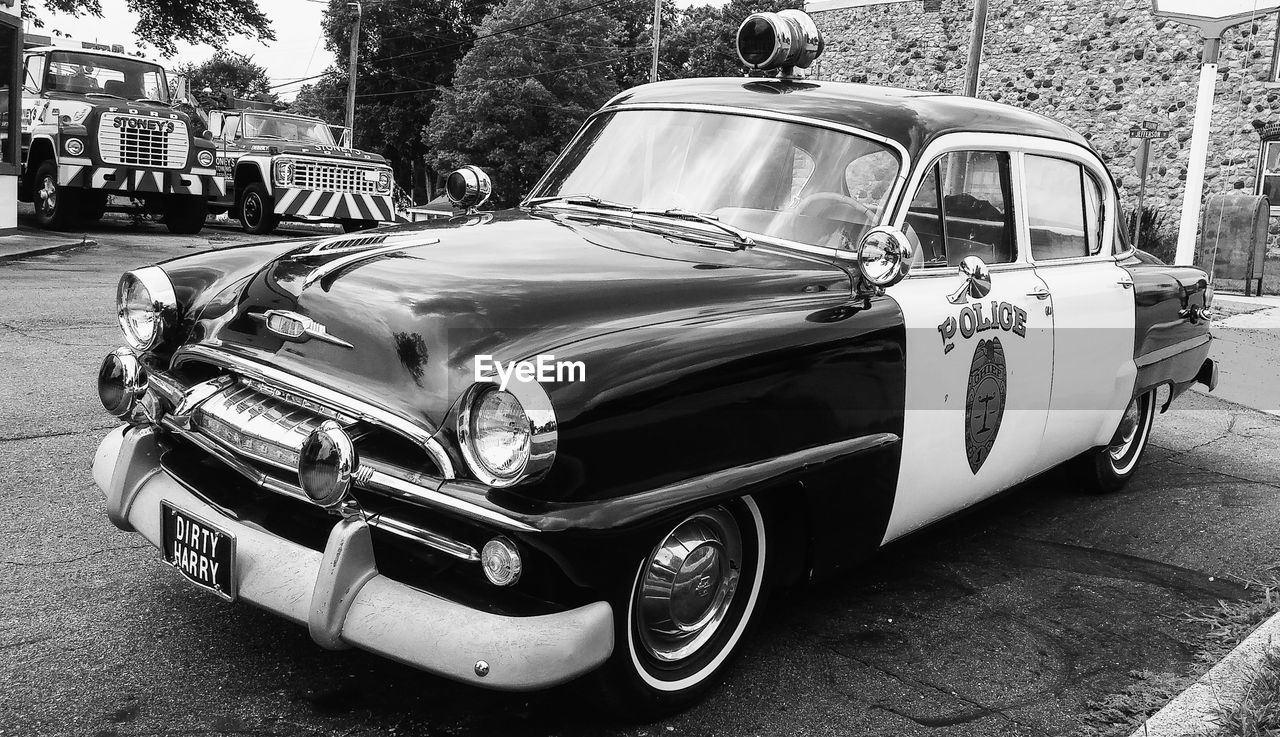 CLOSE-UP OF CAR ON TREE