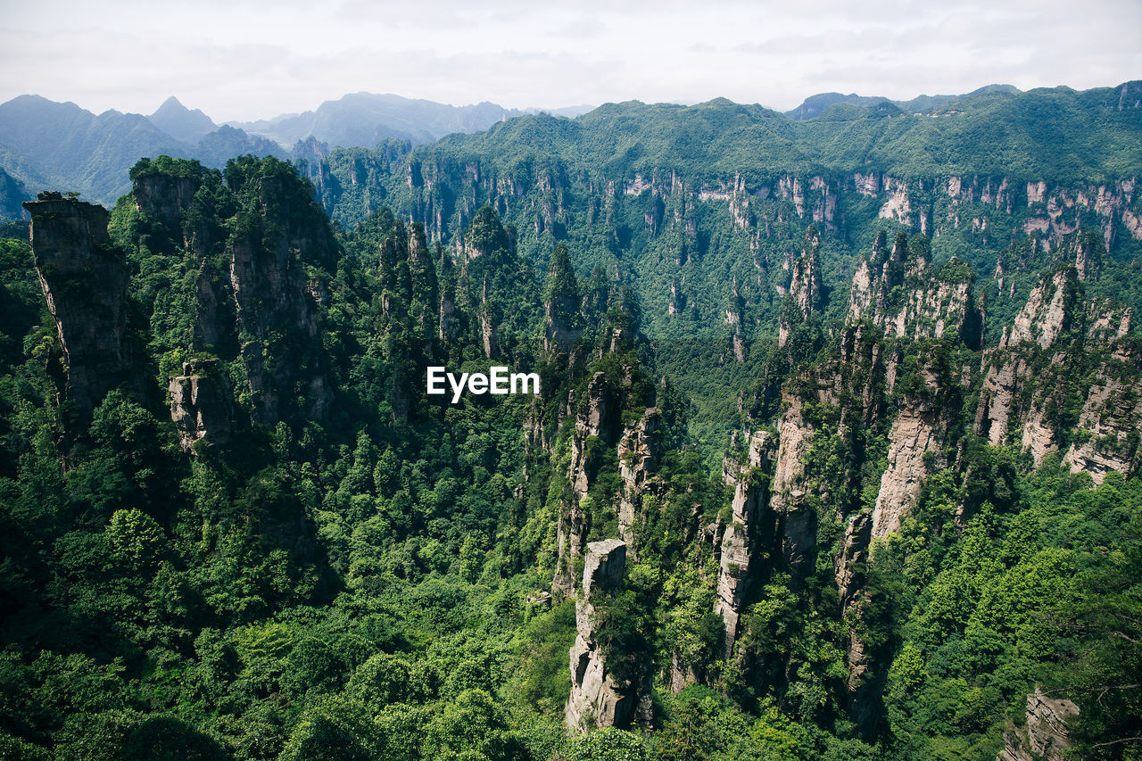 Rock formations at zhangjiajie national forest park
