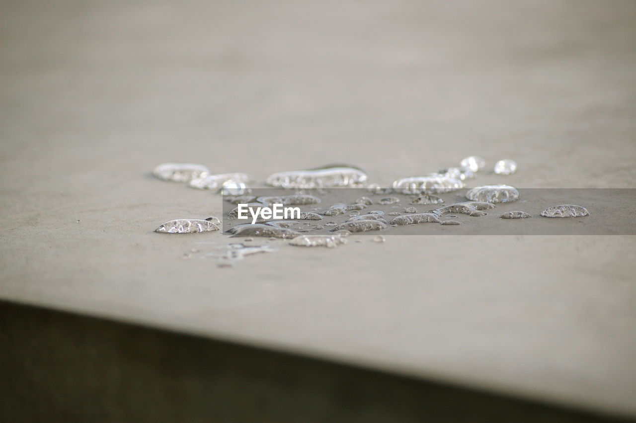 Close-up of water drops on retaining wall