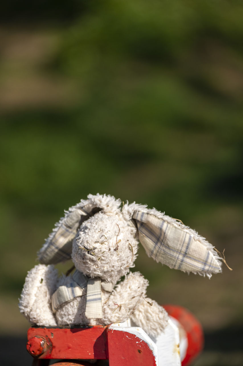 Close-up of rope tied to wooden post