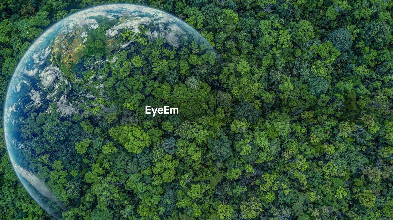 Aerial top view green forest with earth, green planet in your hands, save earth.