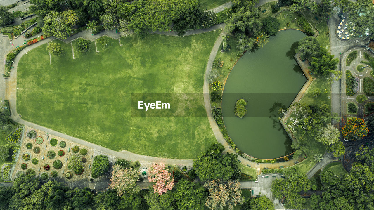 Aerial view of pond at park