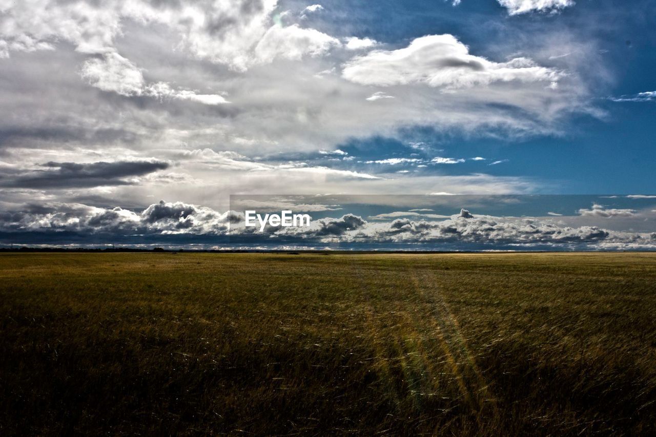VIEW OF FIELD AGAINST CLOUDY SKY