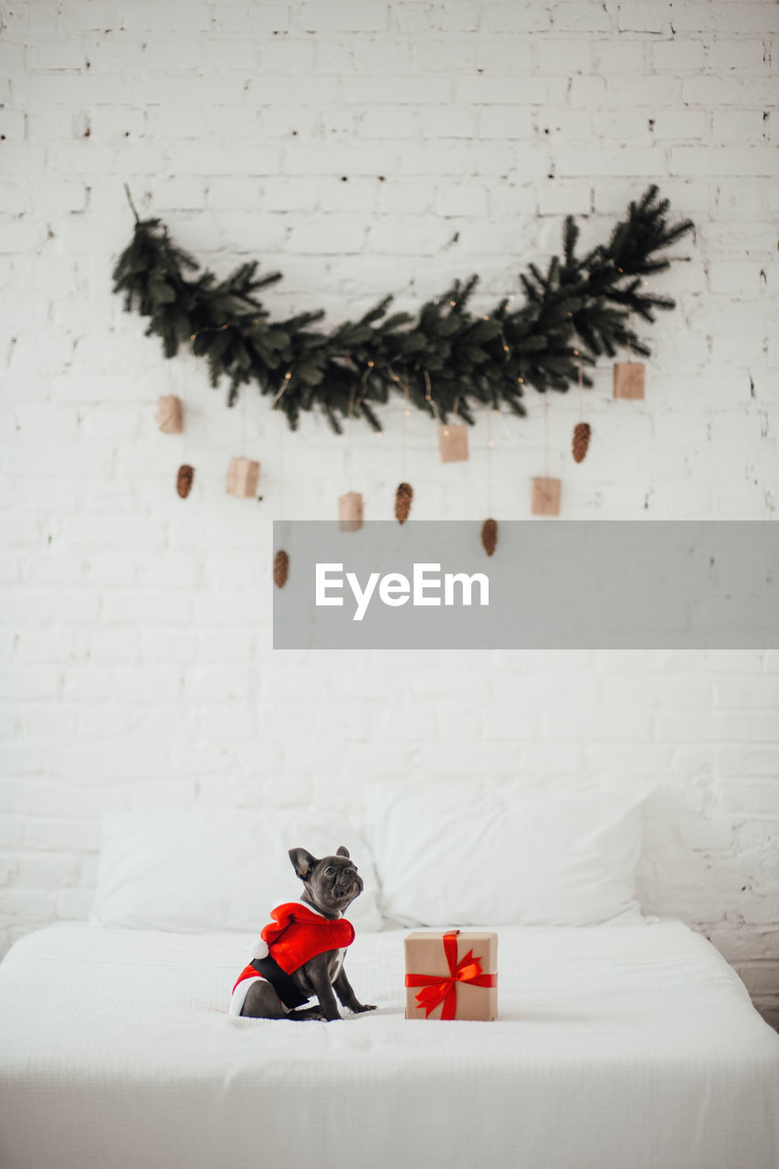 high angle view of christmas decorations on table