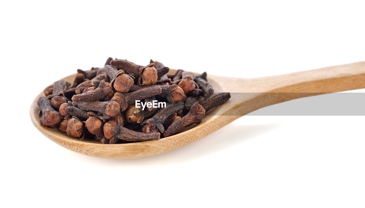 Spice cloves on white background