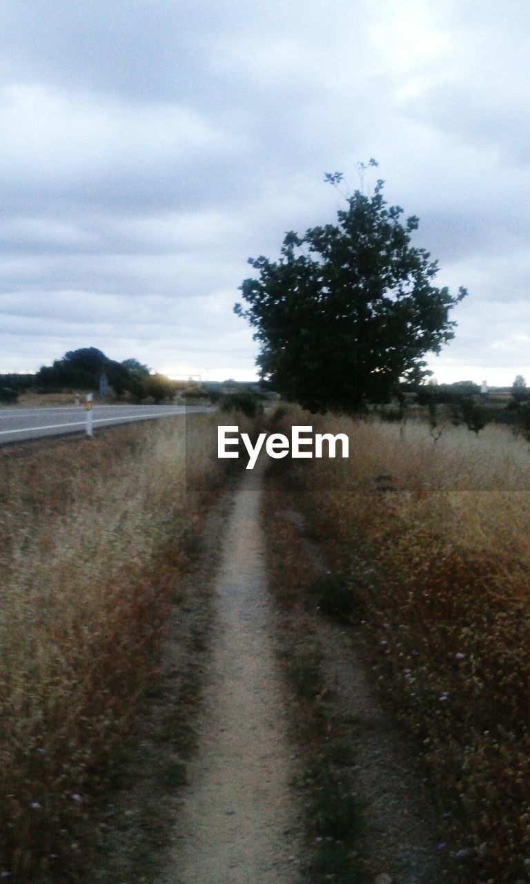 ROAD PASSING THROUGH LANDSCAPE