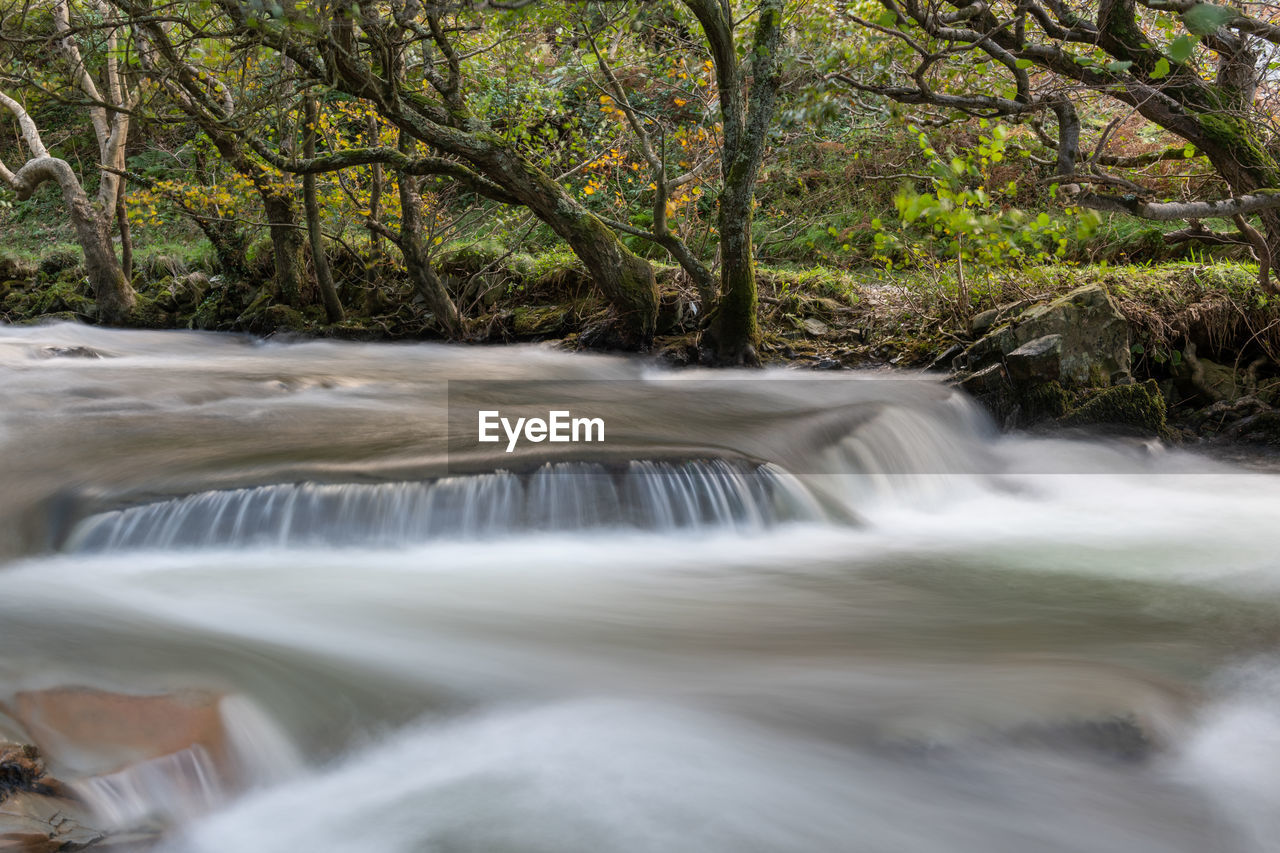 Long exposure of the river heddon flowing through the woods at heddons mouh in exmoor