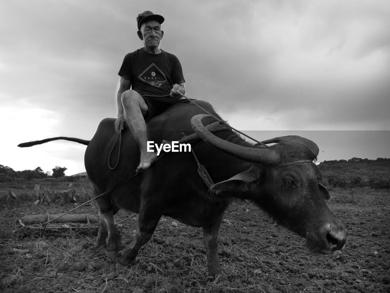 MAN RIDING HORSE ON FIELD