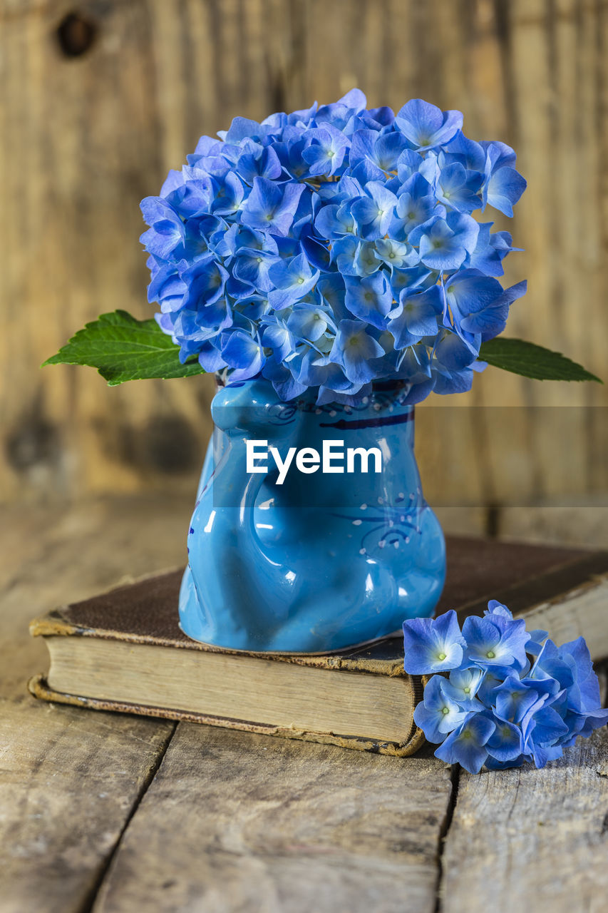 CLOSE-UP OF BLUE FLOWER IN VASE ON TABLE