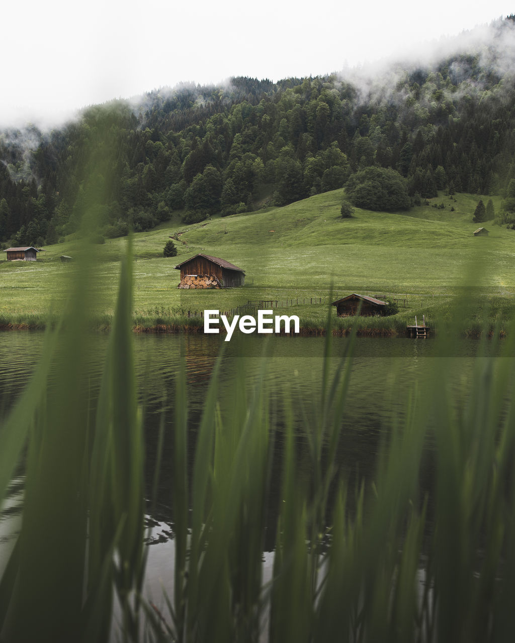 Scenic view of lake by field