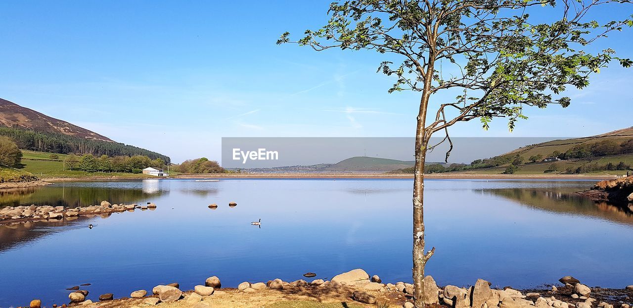 Scenic view of lake against blue sky