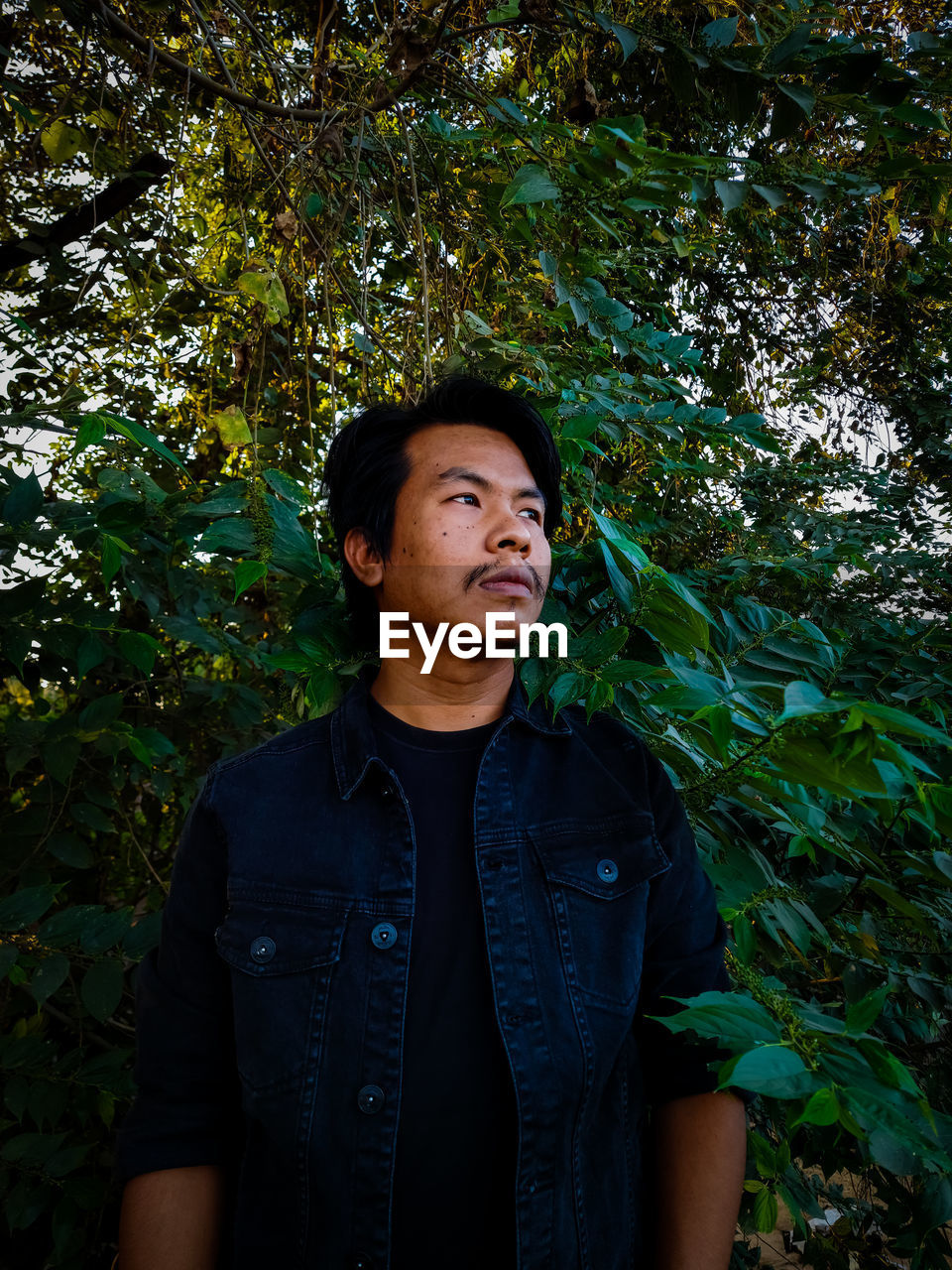 Young man looking away while standing in forest