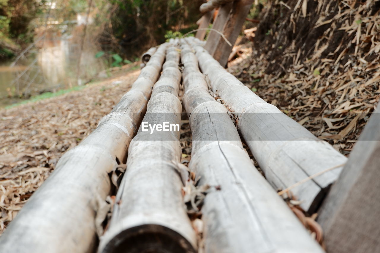 CLOSE-UP OF LOG ON FIELD