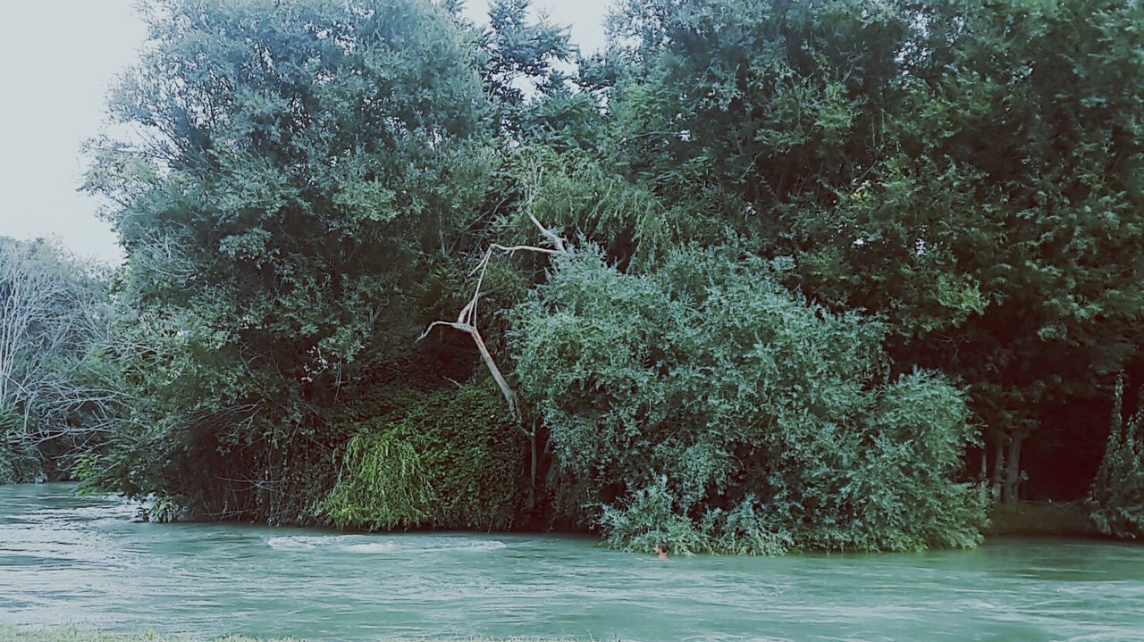 SCENIC VIEW OF LAKE