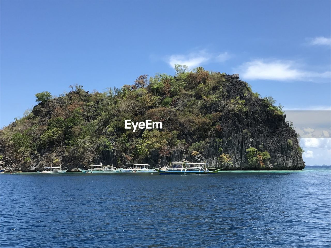 TREES BY SEA AGAINST BLUE SKY