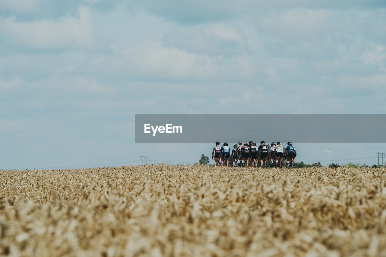agriculture, field, sky, crop, land, cloud, group of people, horizon, nature, rural area, landscape, day, environment, farm, plain, men, plant, food, harvest, adult, rural scene, outdoors, grassland, beauty in nature, medium group of people, scenics - nature, wheat, prairie, group, tractor, women
