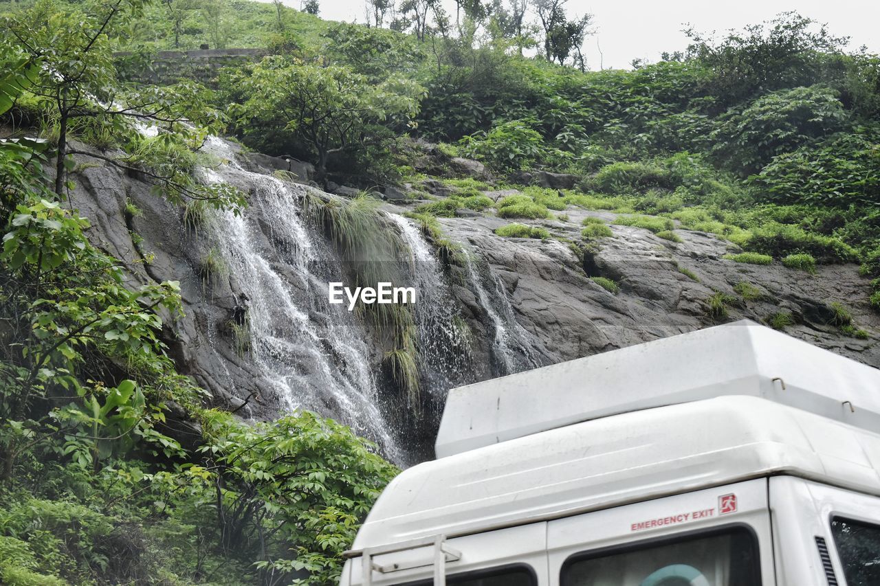 VIEW OF WATERFALL IN FOREST