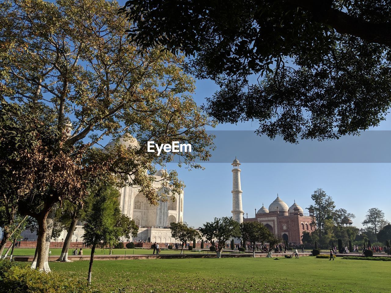 TREES IN PARK AGAINST SKY
