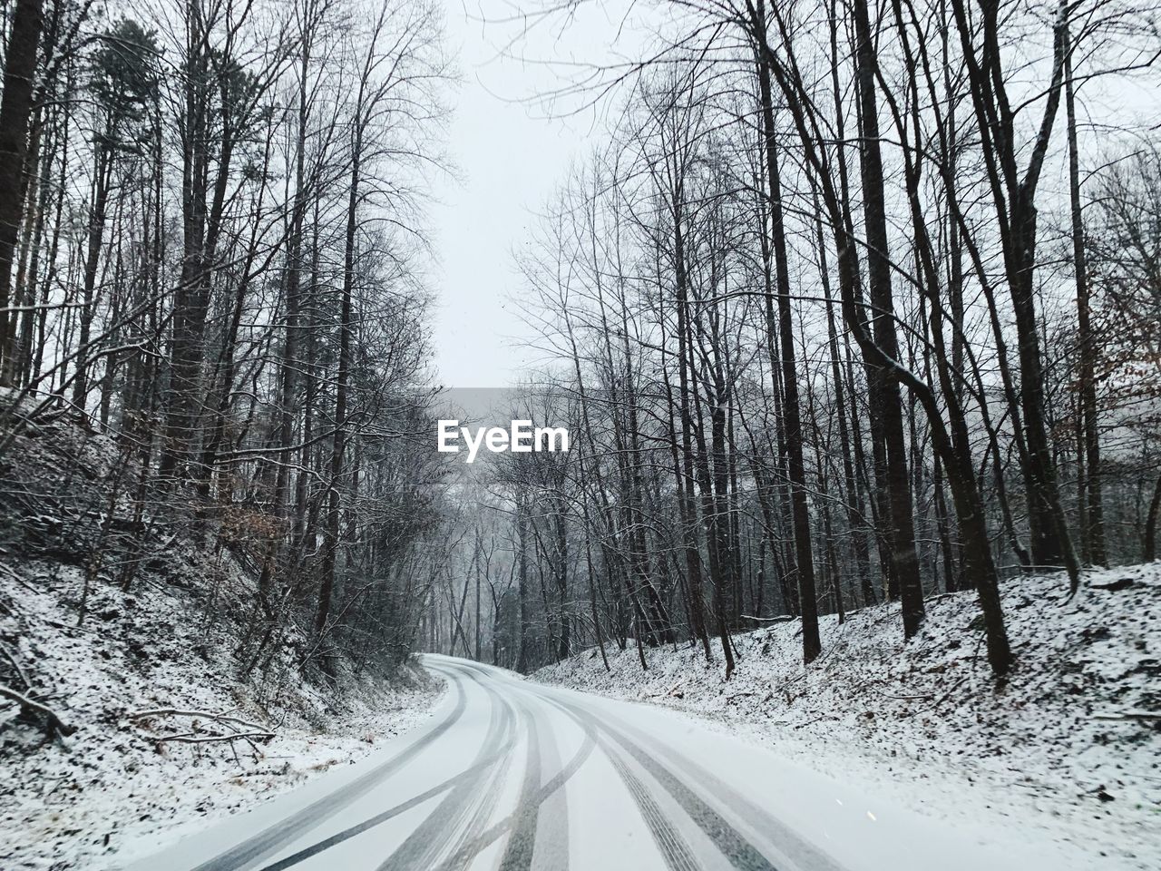 Snow covered road amidst trees during winter