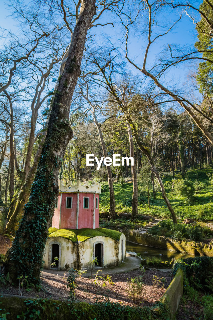 Old building by trees in garden