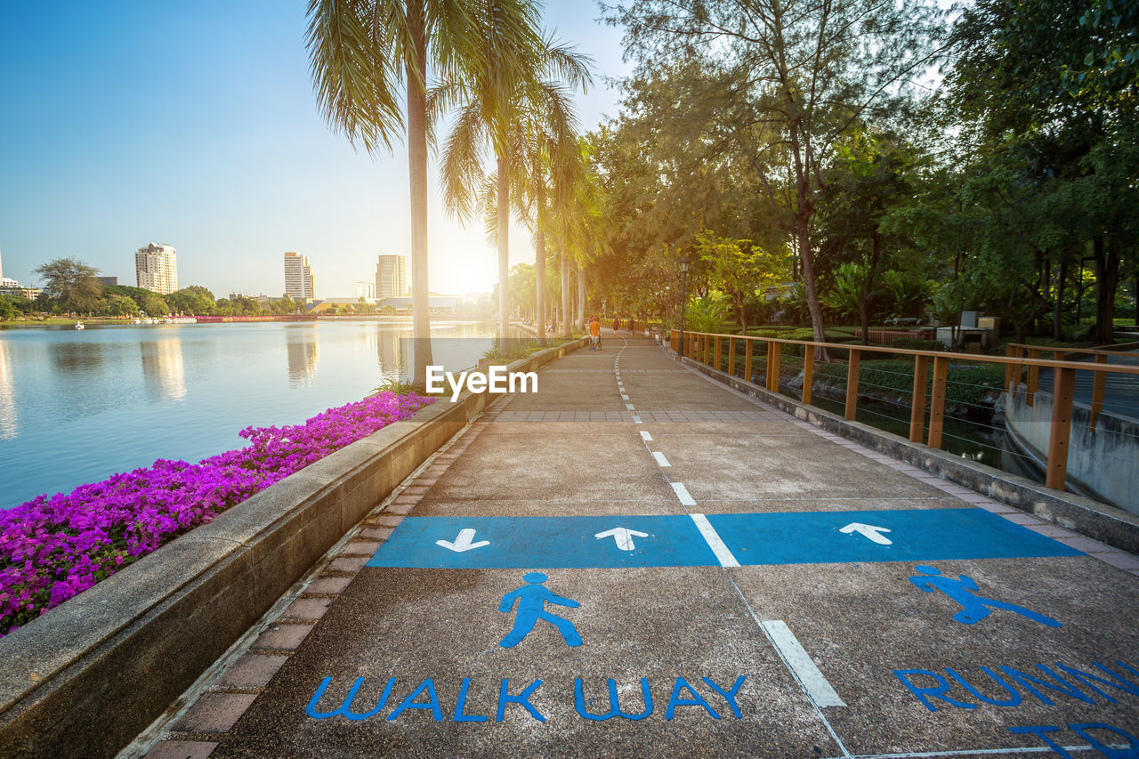 Walkway amidst trees against sky