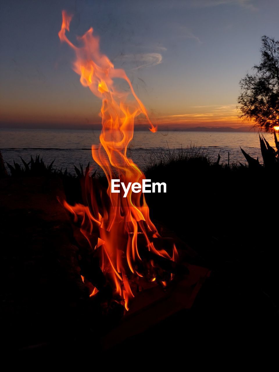 Close-up of fire against black background