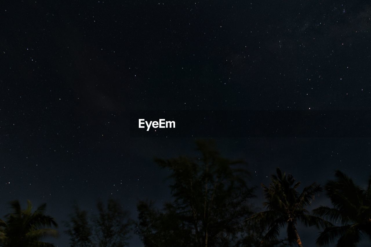 Low angle view of silhouette trees against sky at night