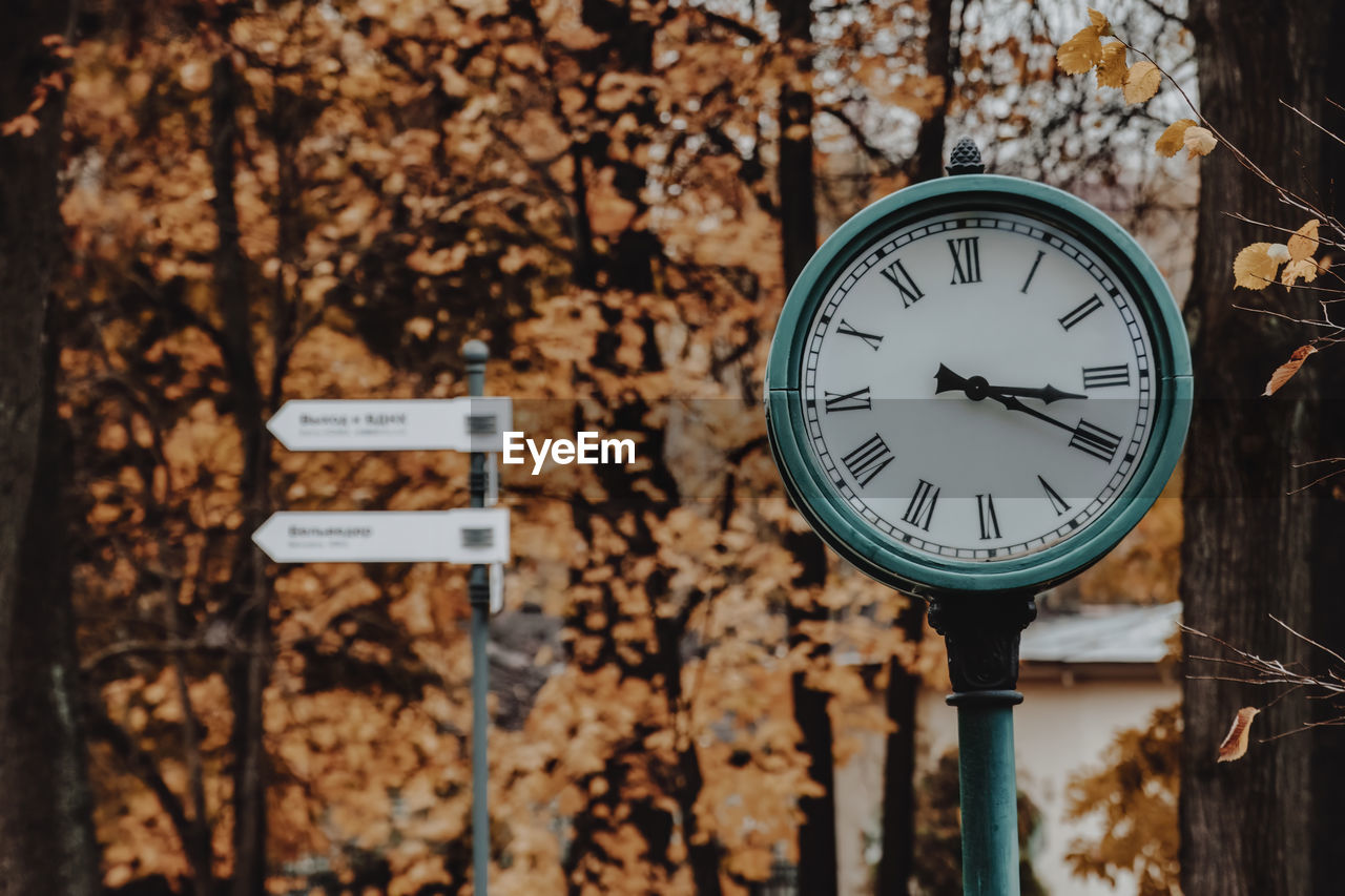 Close up of round clock on the autumn leaves background 