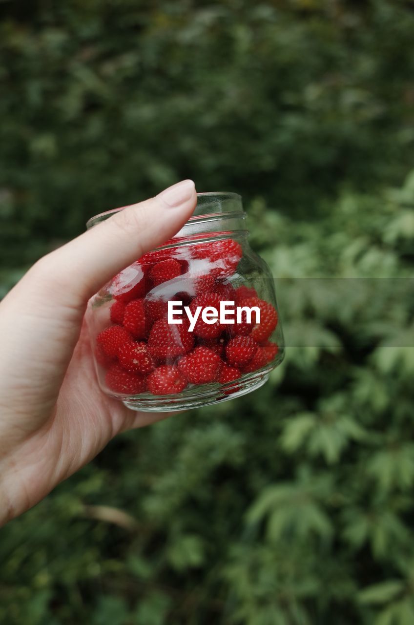 CLOSE-UP OF HAND HOLDING STRAWBERRY OVER GLASS