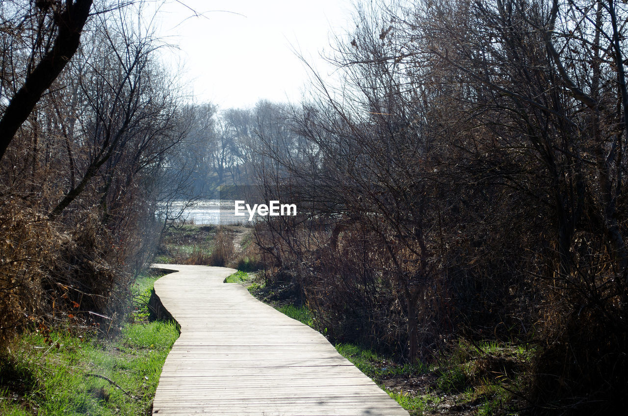 FOOTBRIDGE AMIDST BARE TREES AGAINST SKY
